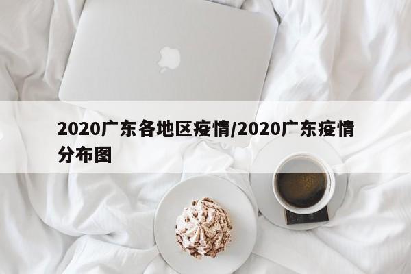 2020广东各地区疫情/2020广东疫情分布图